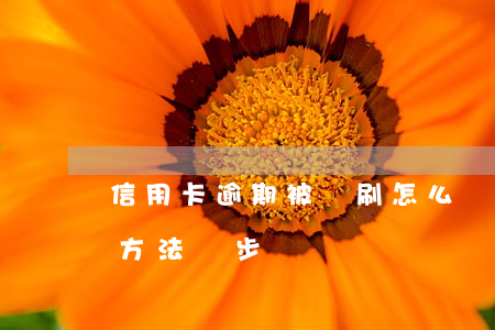 信用卡逾期被盜刷怎么辦？全面解析處理方法與步驟